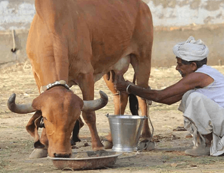 FATS, SOILIDS, MINERALS, VITAMINS