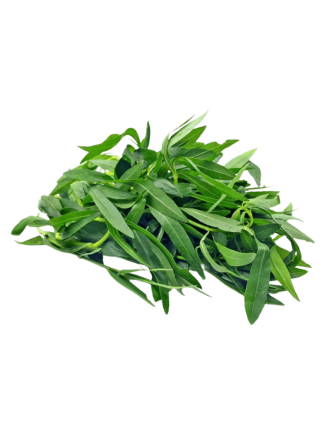 Brazillian Spinach / Ponnaganti