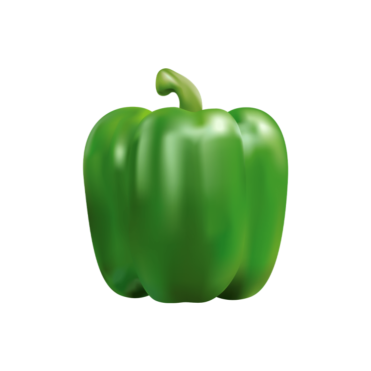 Capsicum  Green