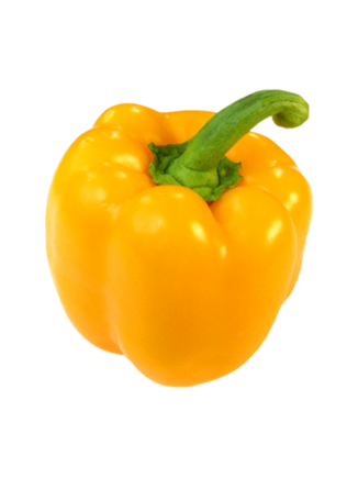 Capsicum Yellow