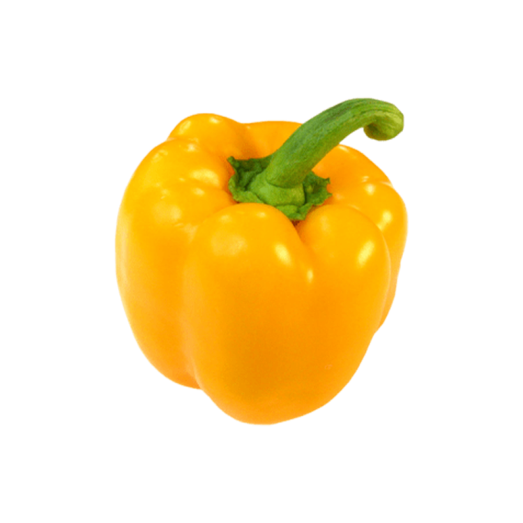 Capsicum Yellow