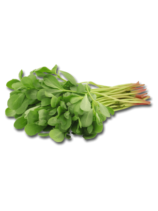 Kulfa / Gangabavil / Purslane   