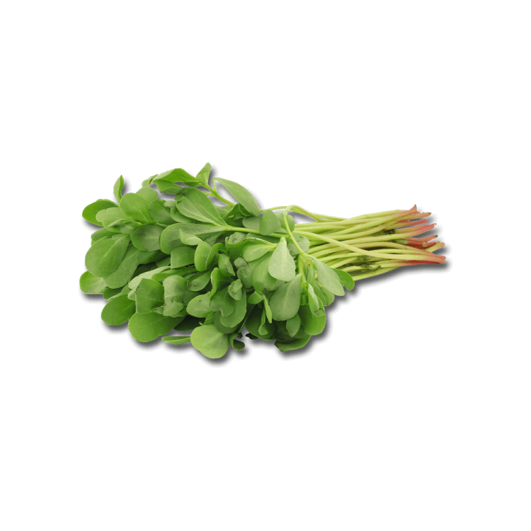 Kulfa / Gangabavil / Purslane   