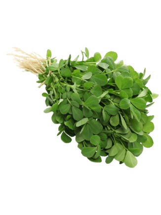 Methi / Fenugreek                    