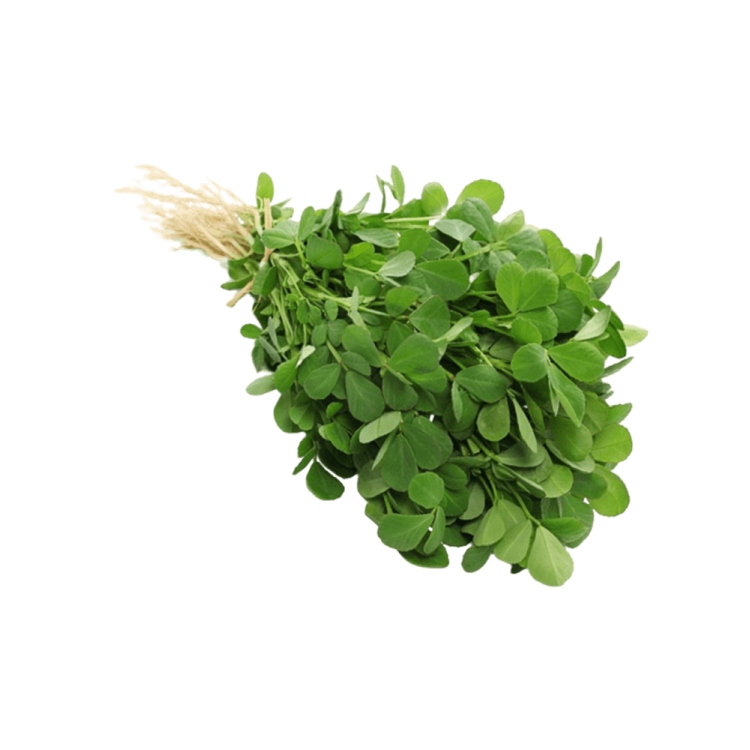 Methi / Fenugreek                    