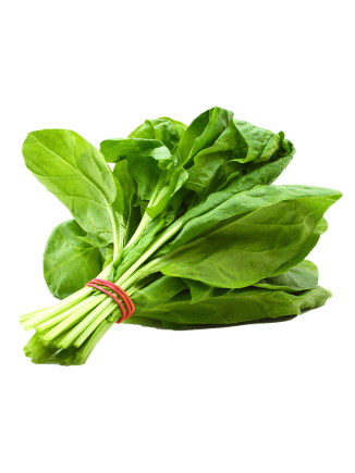 Palak / Spinach