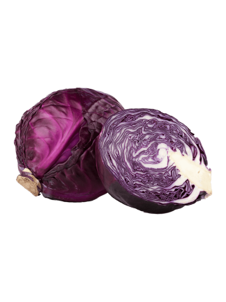 Red Cabbage